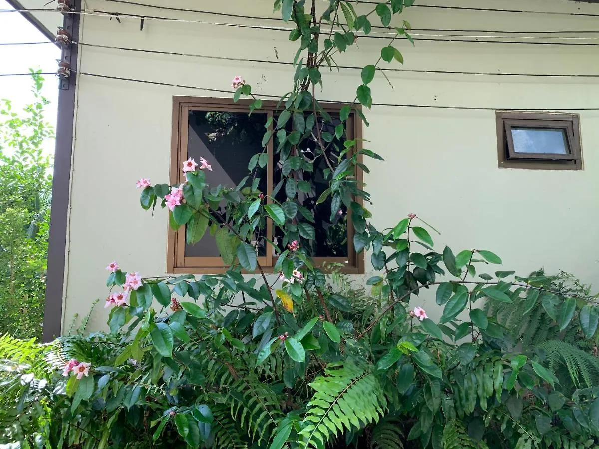 Hotel Green Pepper Garden Khao Lak