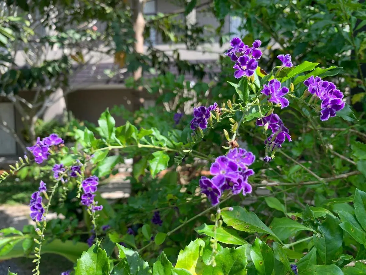 Green Pepper Garden Khao Lak Hotel